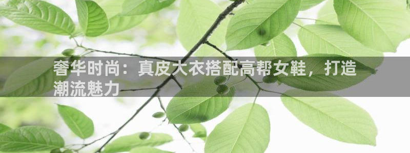 ag旗舰厅官方网站入口